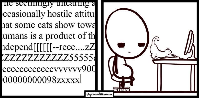 For those of you who don't own cats... yes, this really happens.